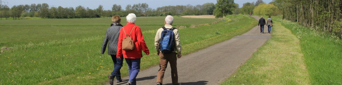Ældre mennesker på gåtur i grønt område