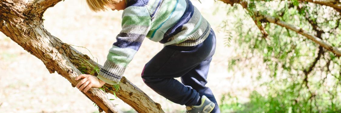 Dreng klatrer i et træ